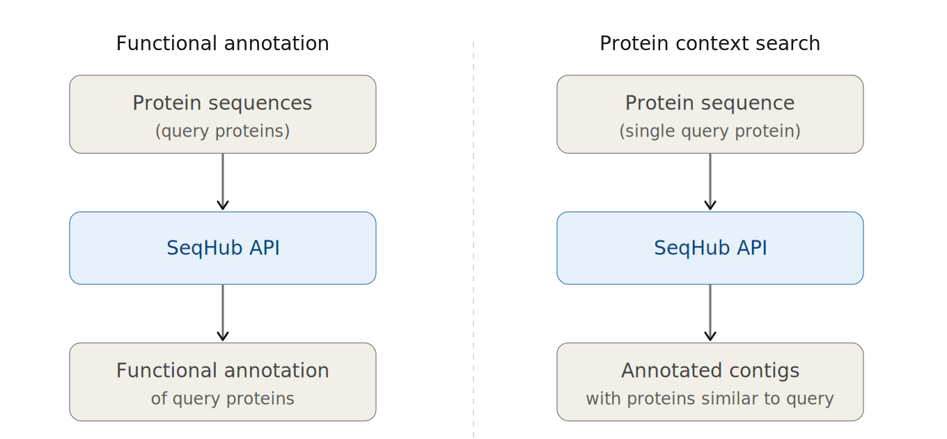The SeqHub API endpoints: functional annotation and protein context search